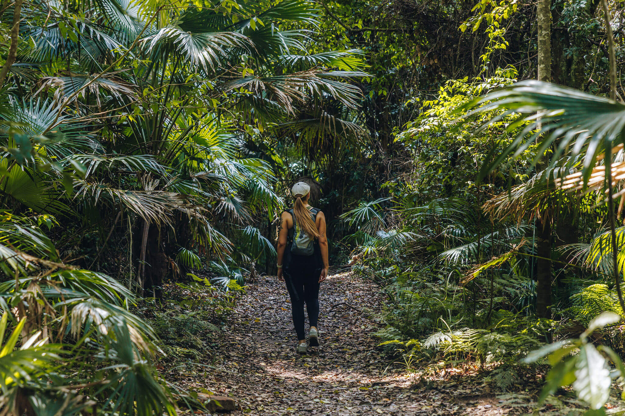 person walking in lush rainforest in dappled sunlight