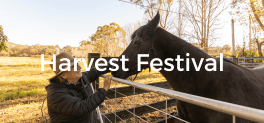 Harvest Festival NSW Central Coast Woman patting dark brown horse