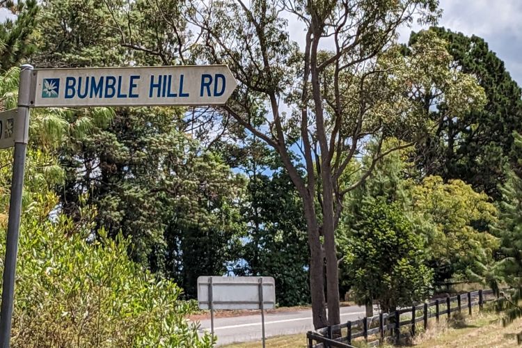 Bumble Hill