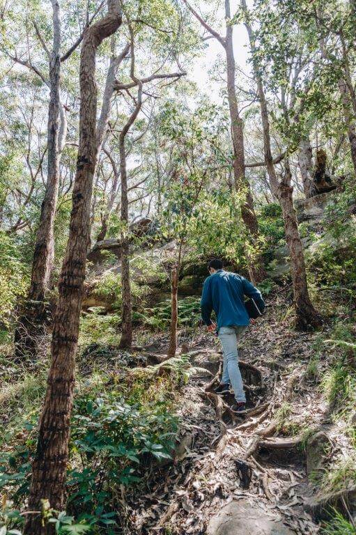 Jordan Richardson, Bouddi National Park Bouddi National Park 