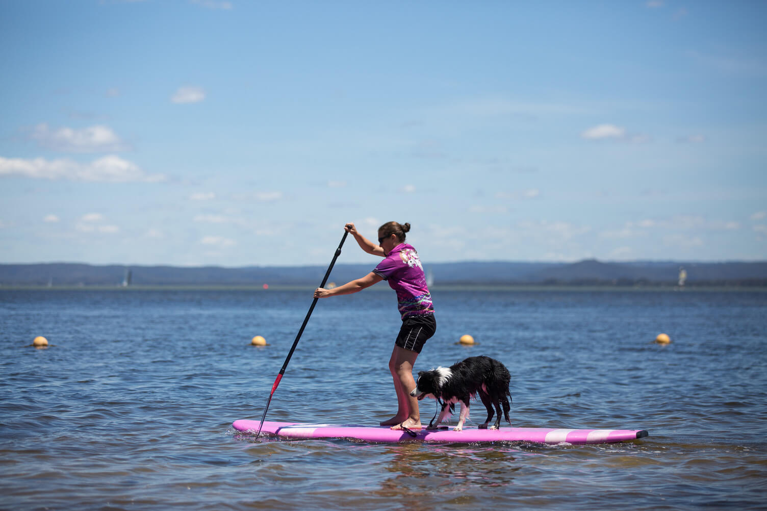 canton beach dog friendly sup