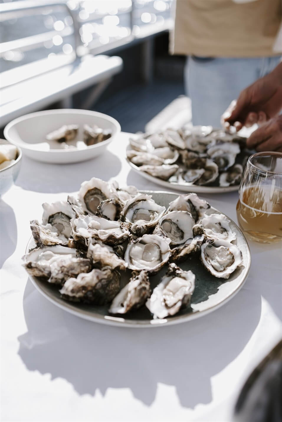 20230714_binchiphotography_Broken Bay Pearl Farm Oysters