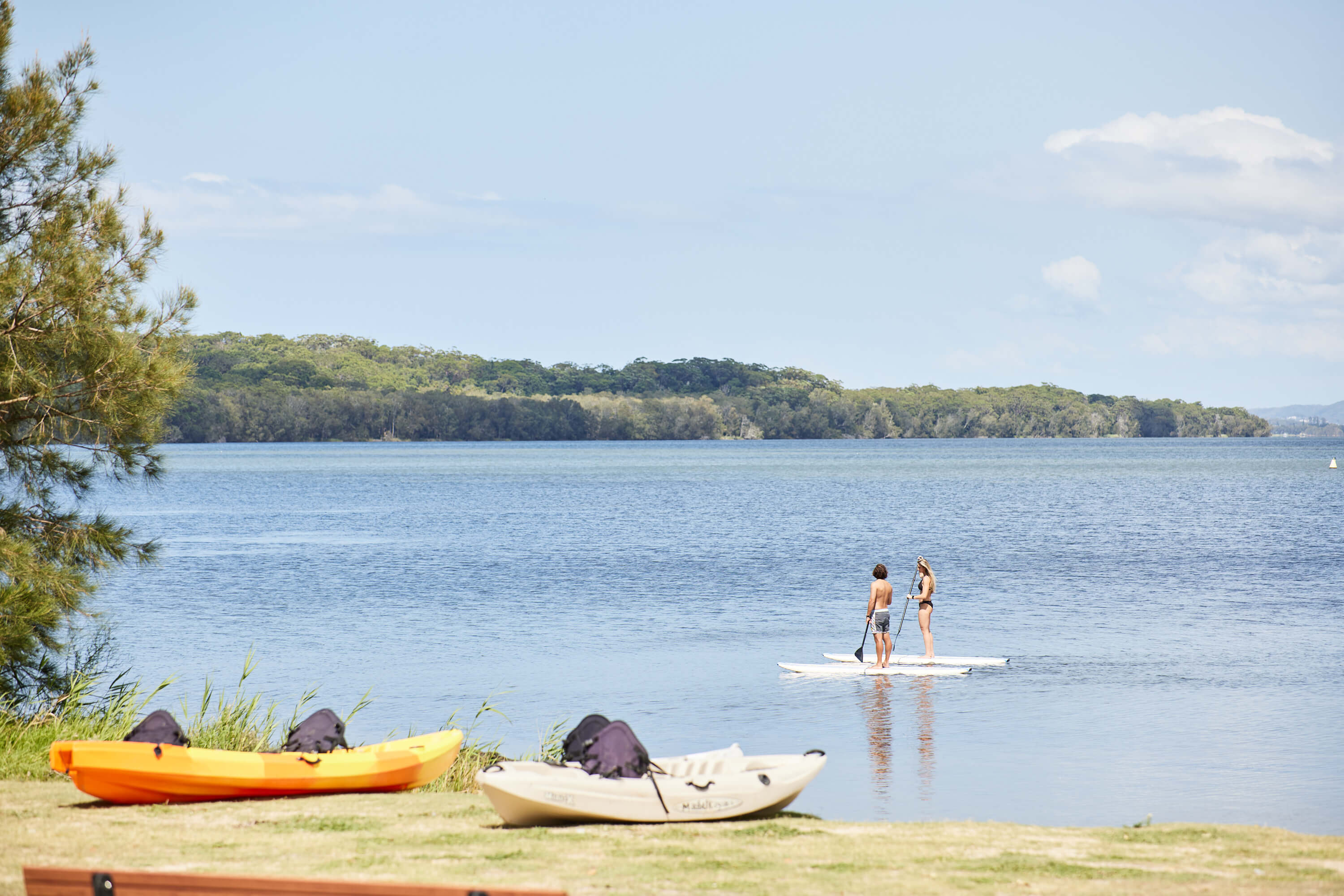 paddle boarding couple on water