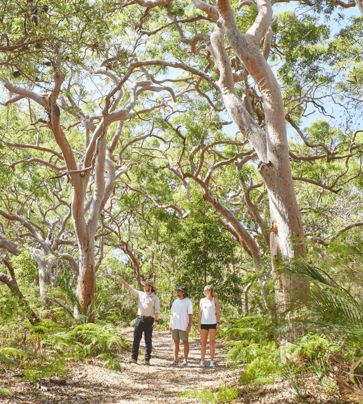 Three people walking through the green bush