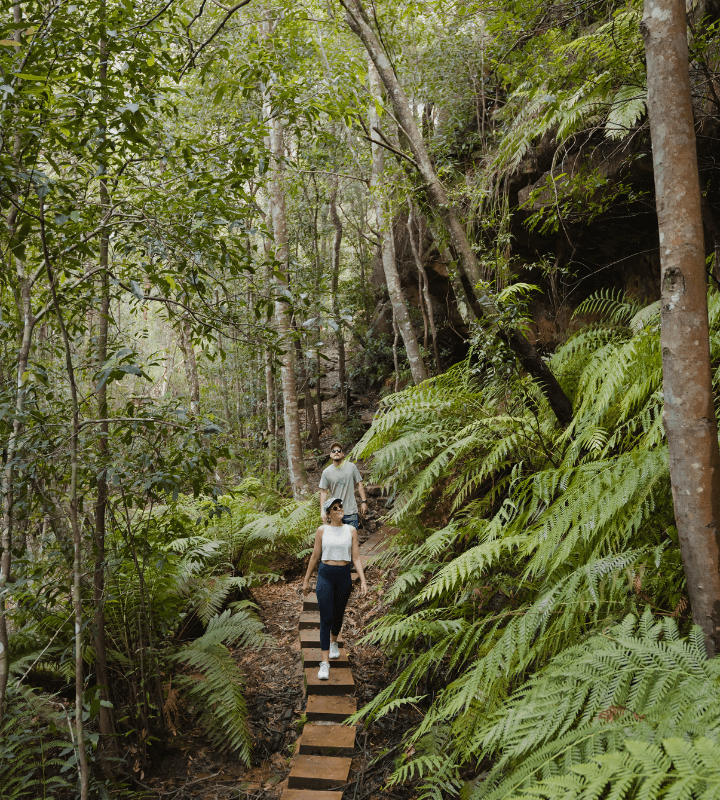 Young couple walking down a large stone pathway surrounded by a forest with large trees and green ferns.