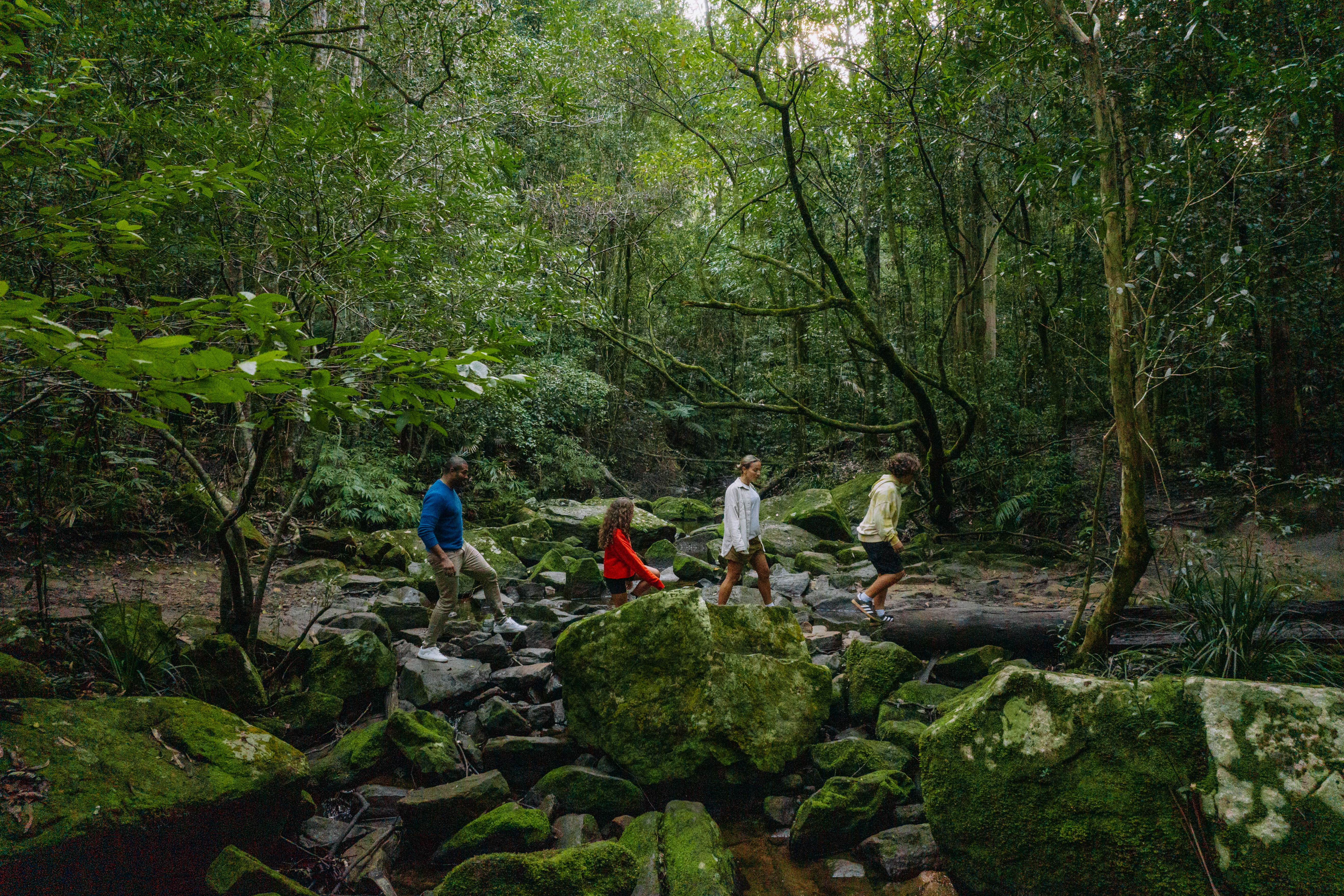 family on stepping stones in forest