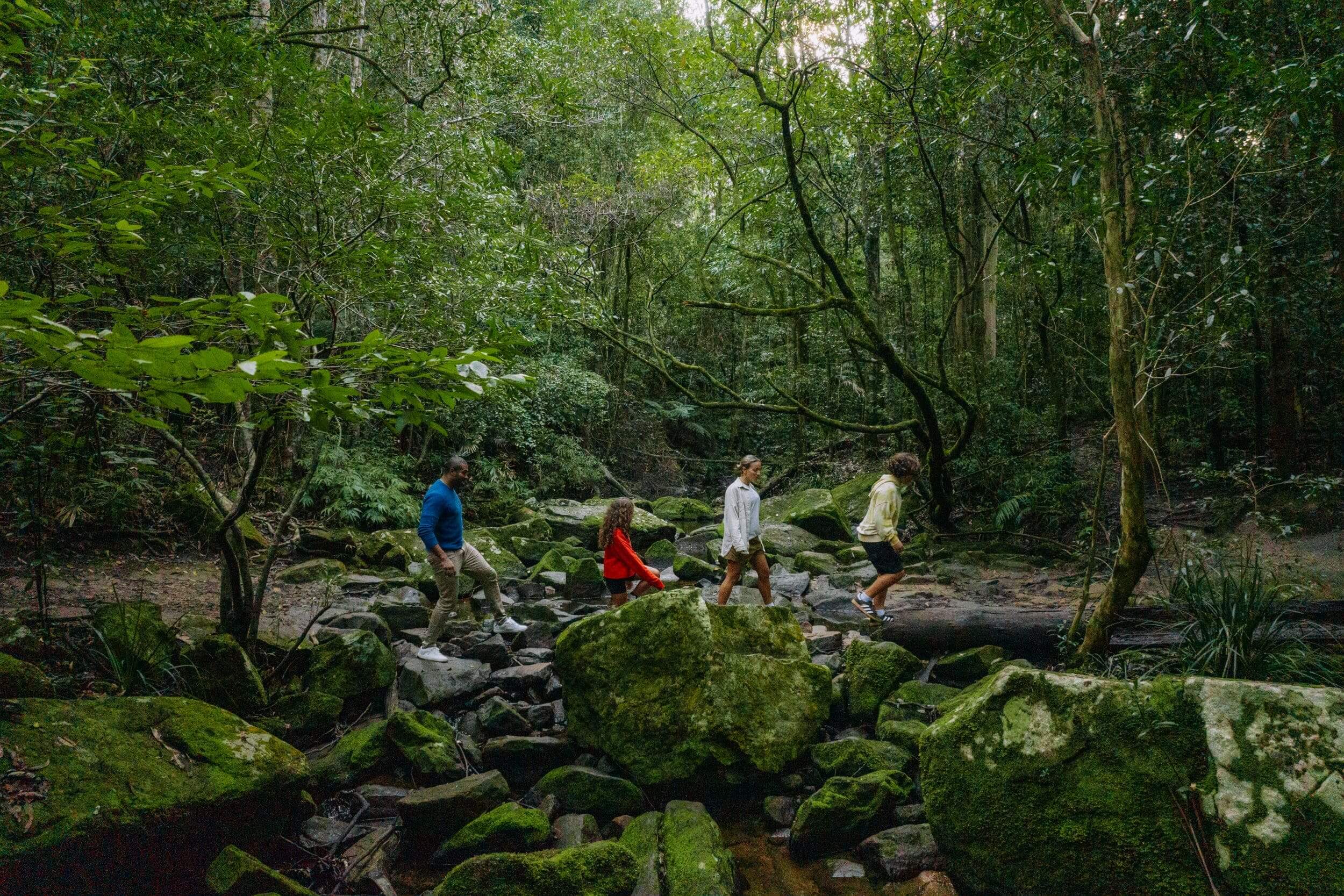 Family walking through green bushland over a creek bed with small and large rocks