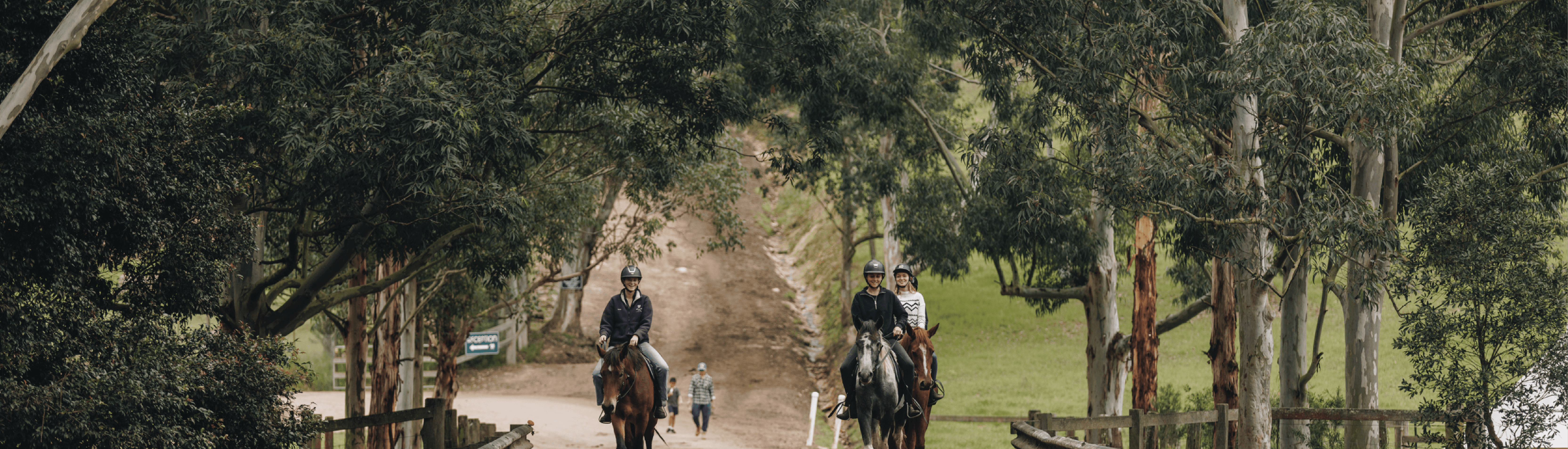 Horse riding on the central coast
