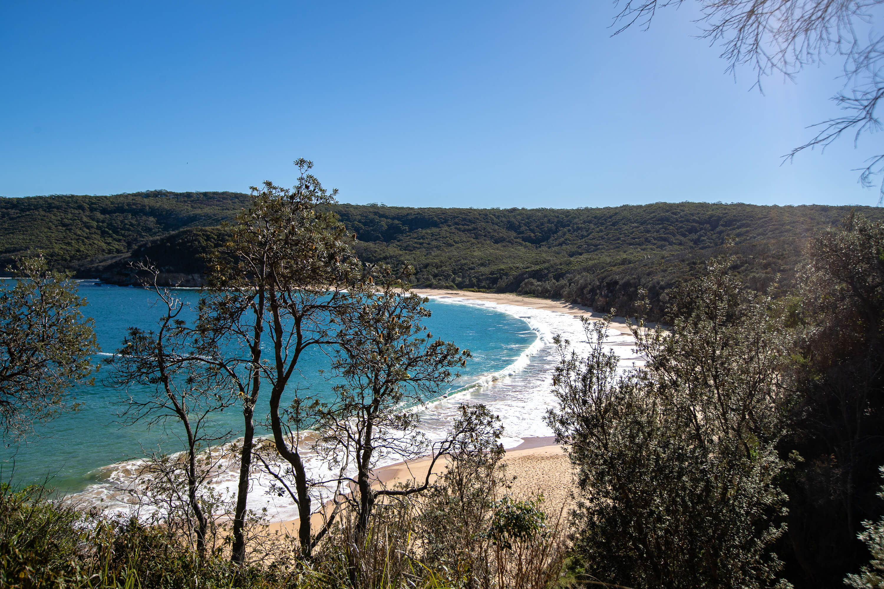 bouddi