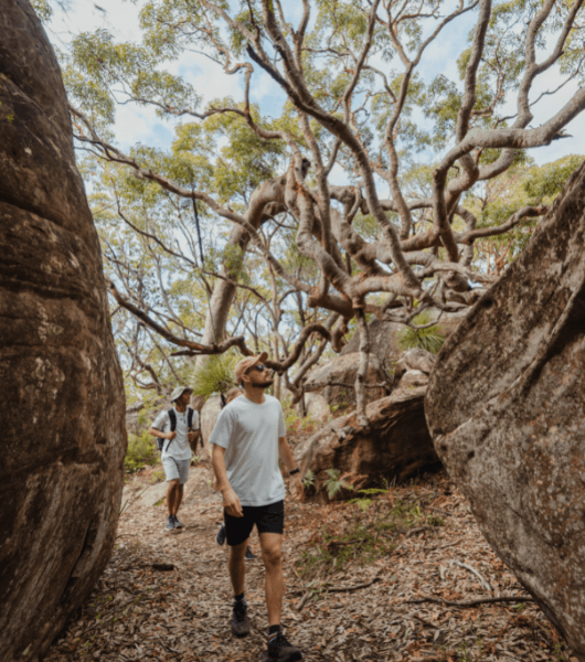 Two men hiking through bush on the Central Coast
