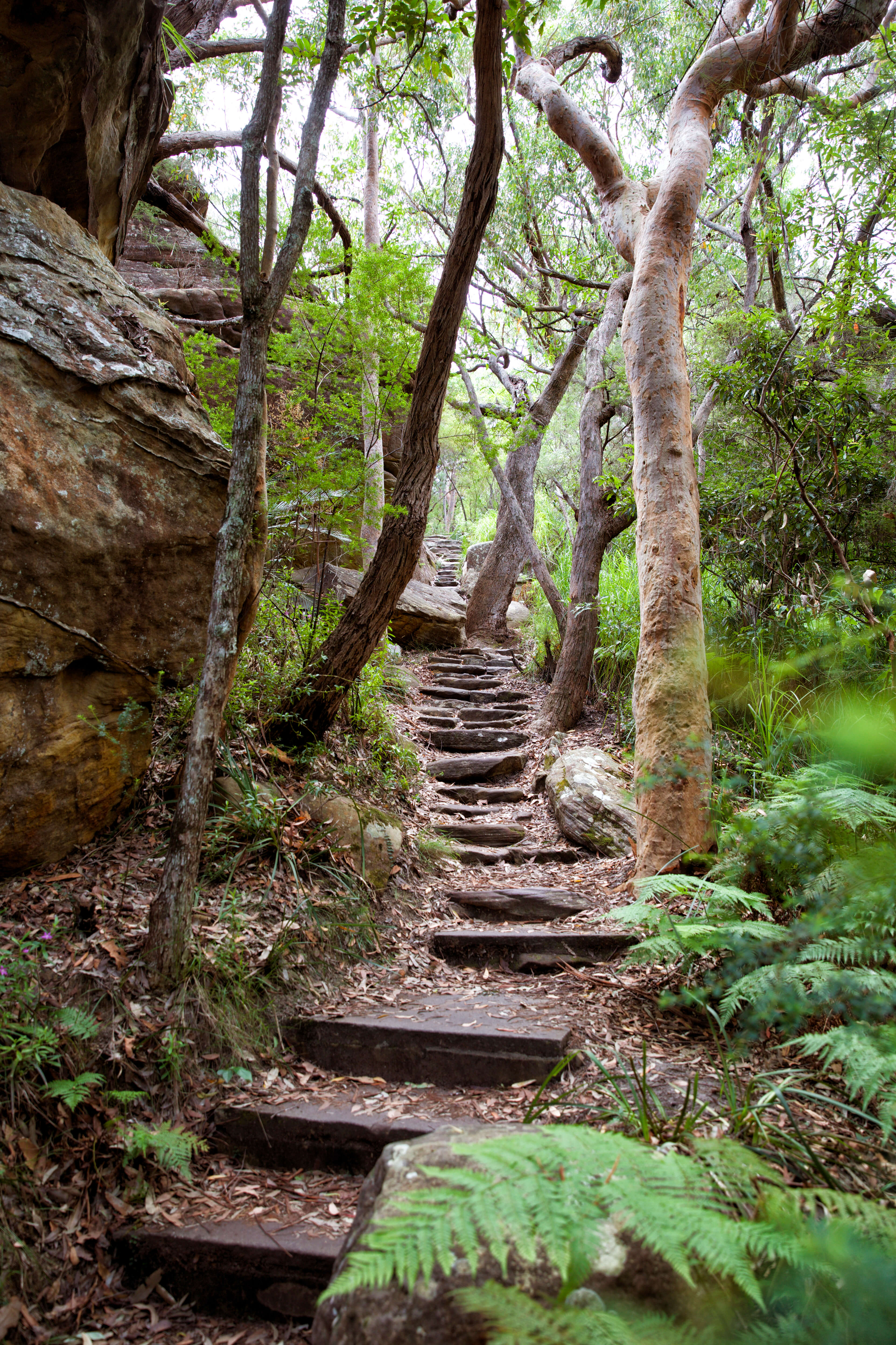 maitland bay hike destination