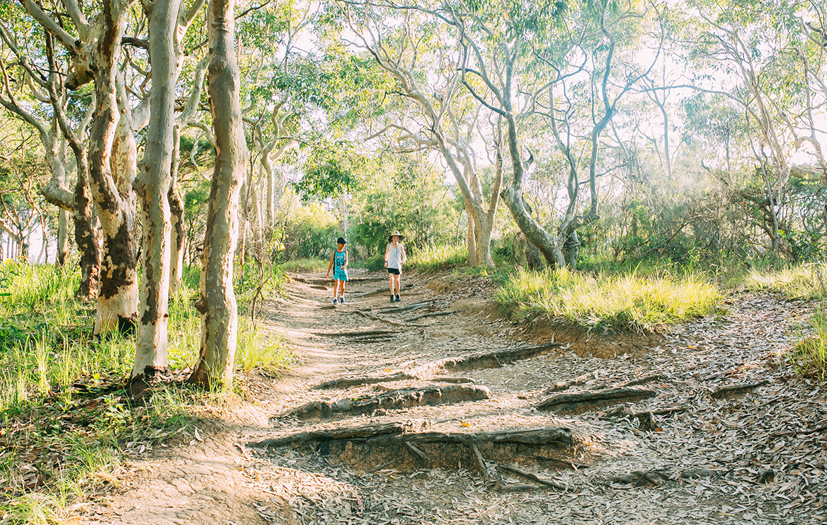 Hot Bush - Bushhiking