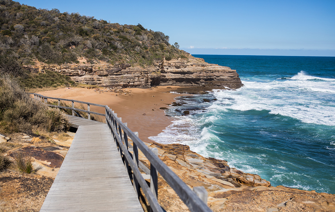 bouddi coastal walk