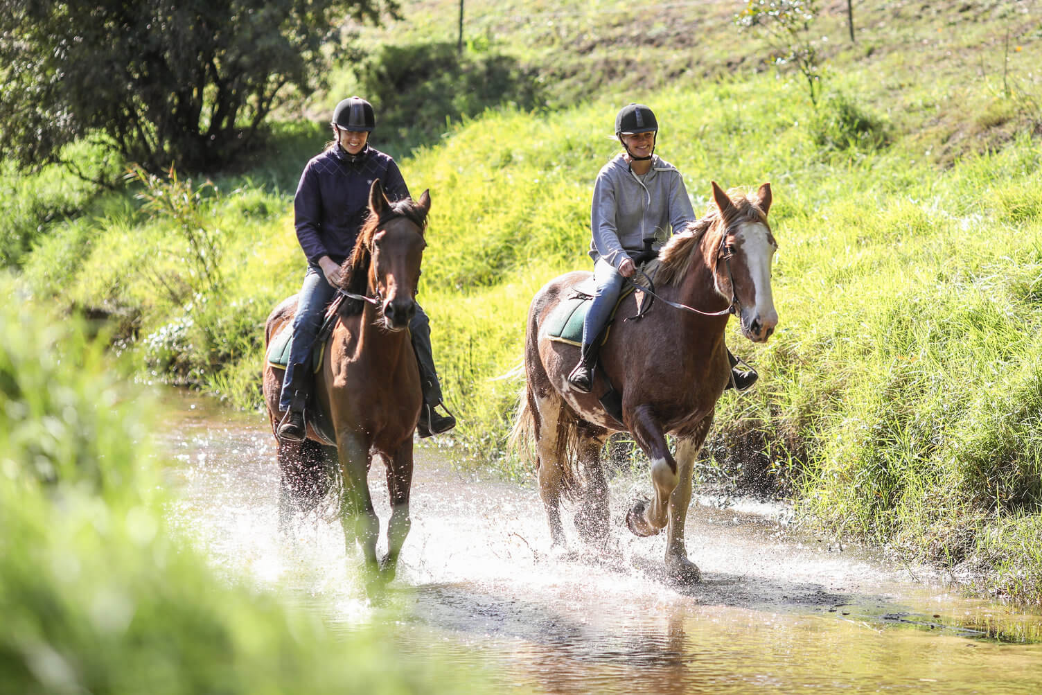 horse riding in the hinterland