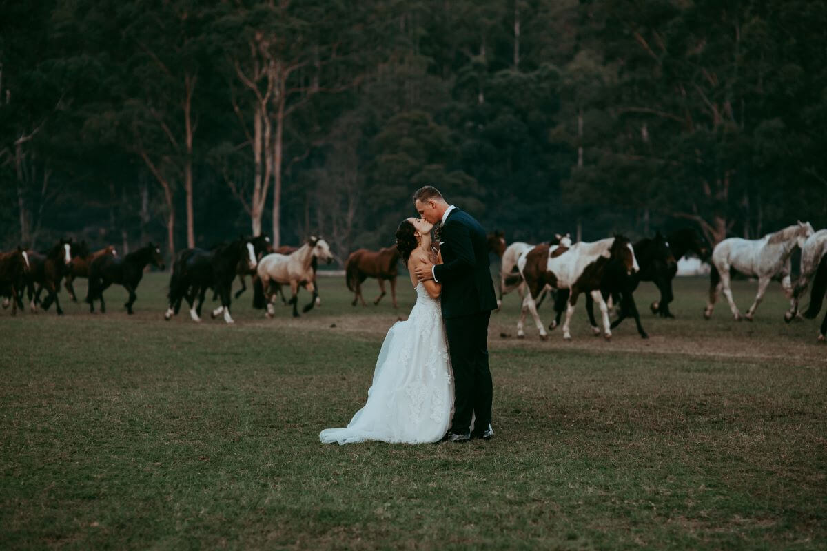 wedded couple with wild horses in valley