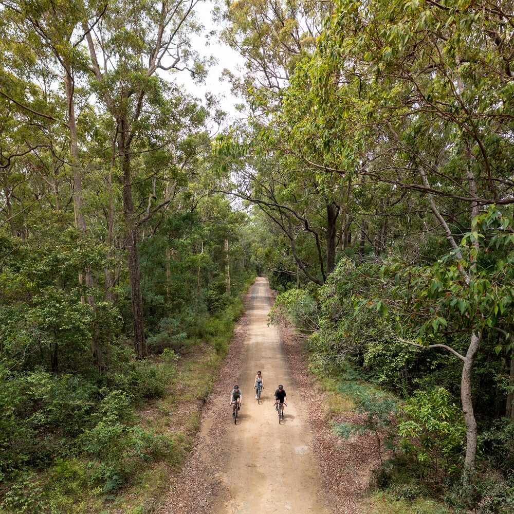 Three people gravel cycling in bushland