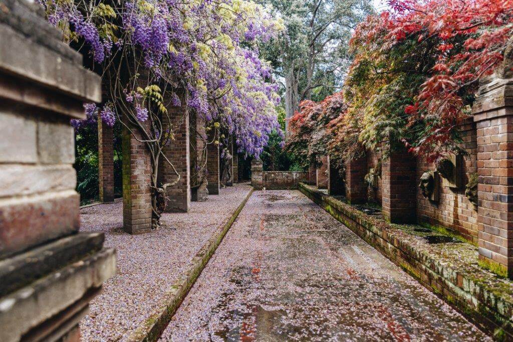 Paradise Botanical Gardens, Kulnura