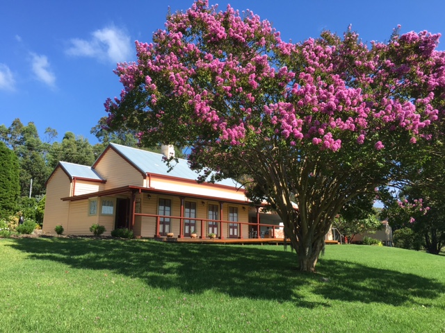 alison homestead wyong