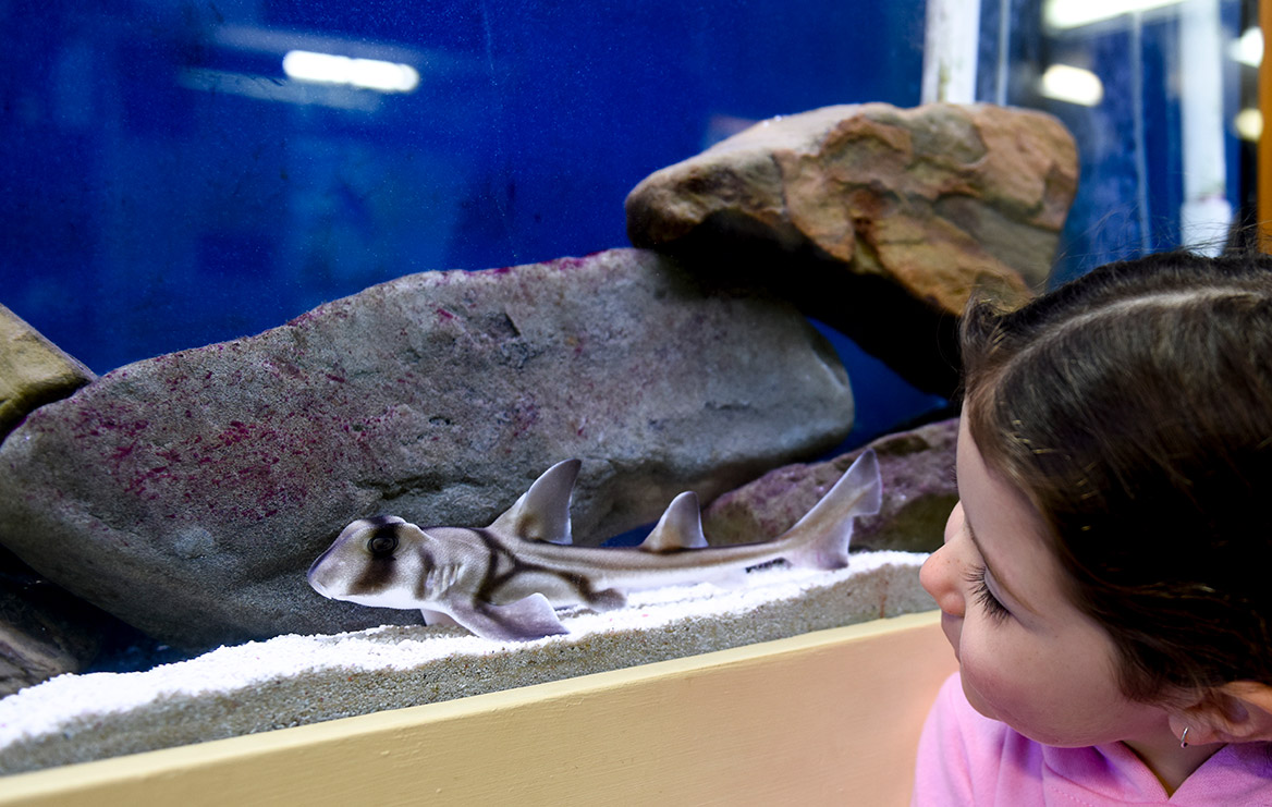 Central Coast Marine Discovery Centre