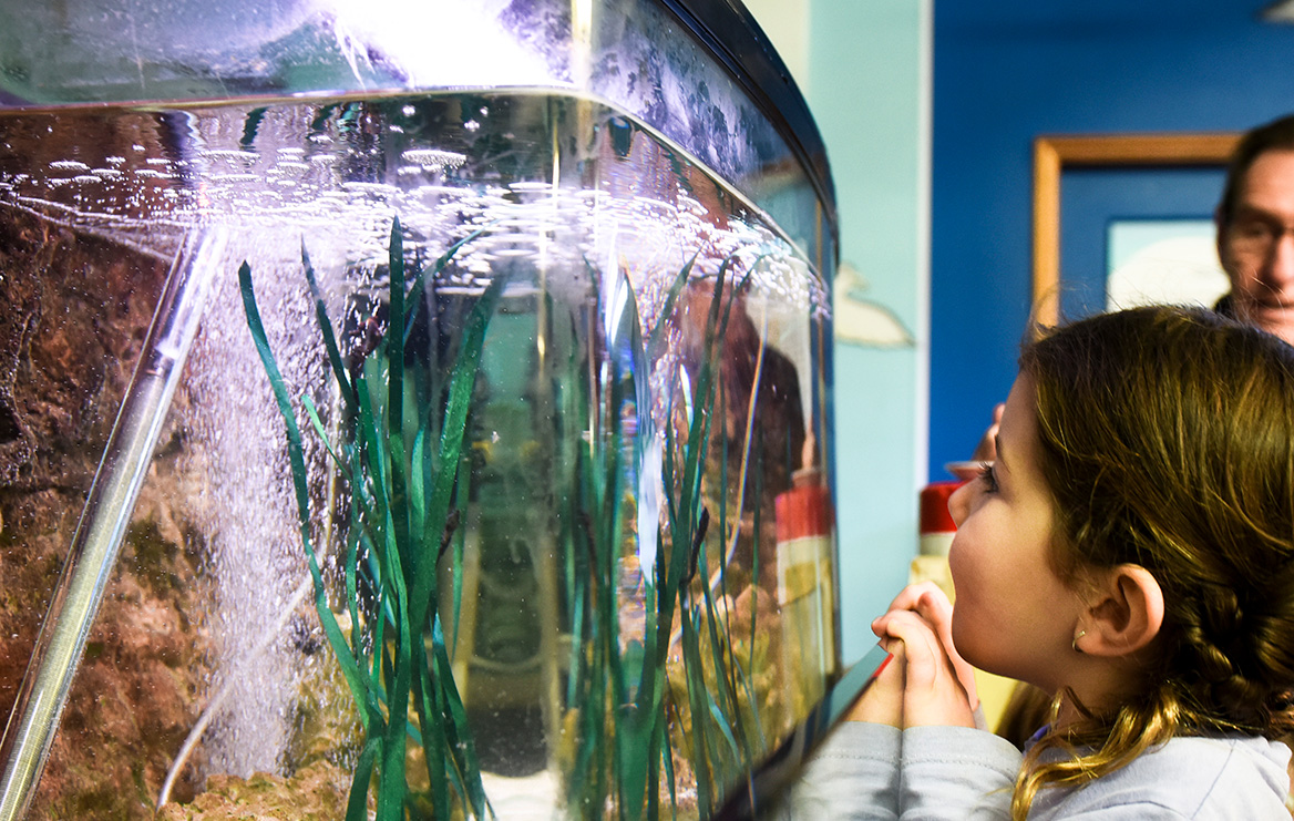 Central Coast Marine Discovery Centre