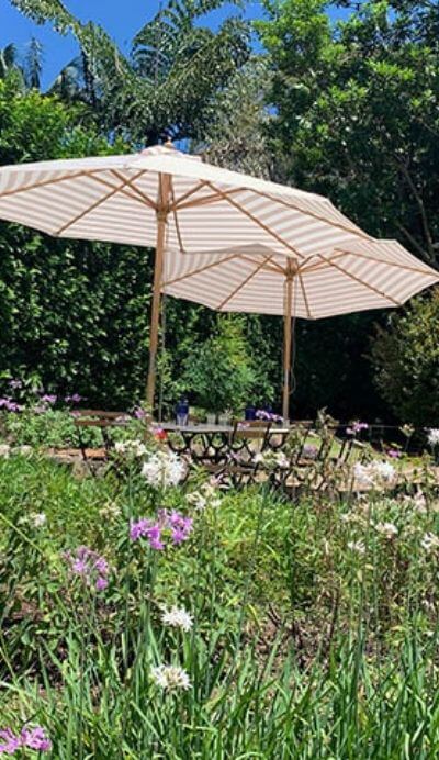 bar botanica gardens