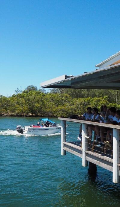 not quite nigella woy woy fishermans wharf