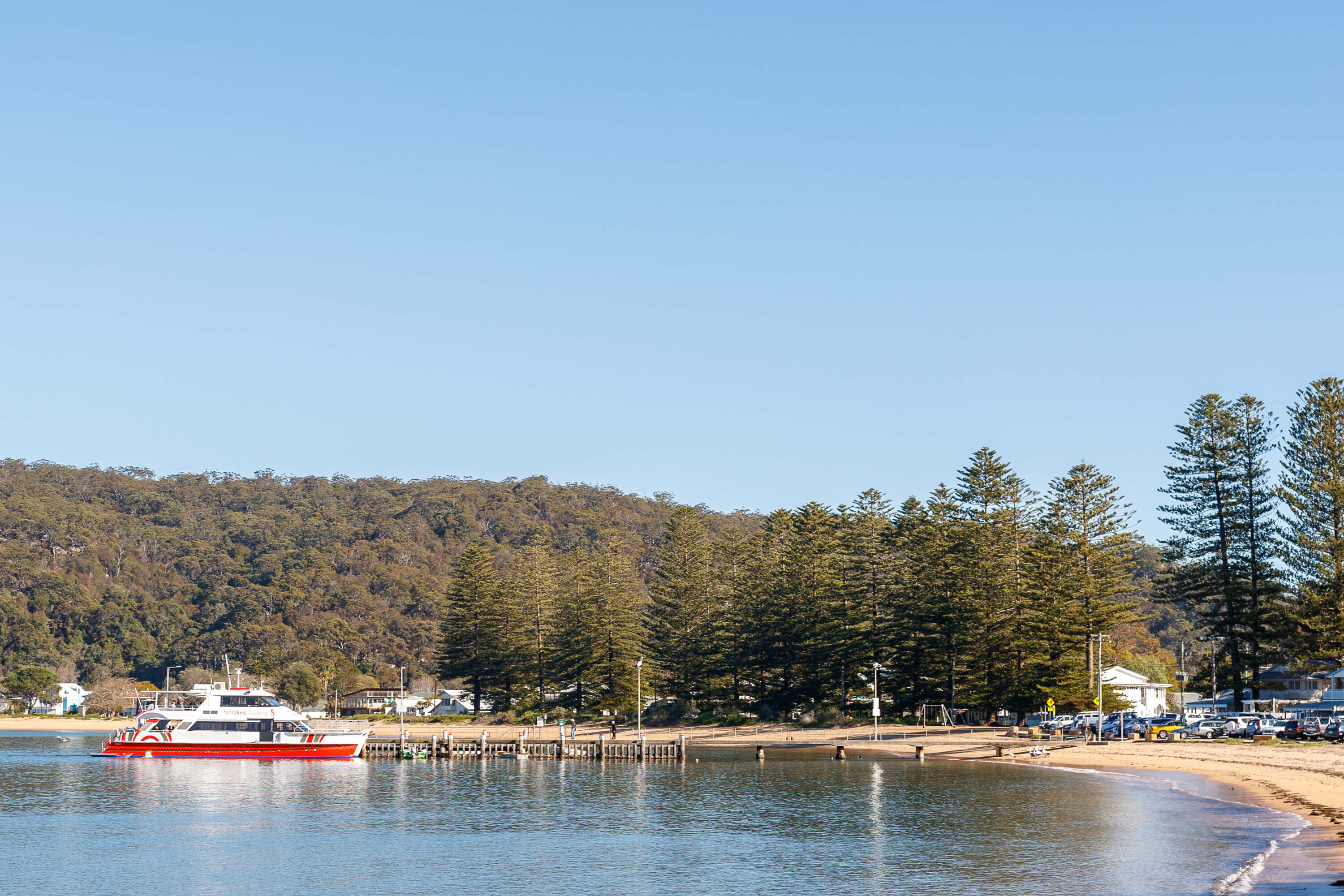 patonga beach foreshore reserve