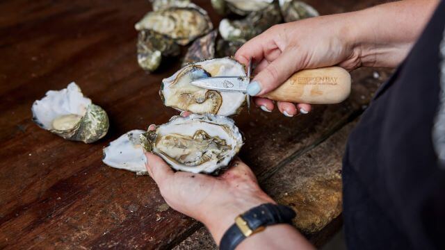 an oyster freshly shucked