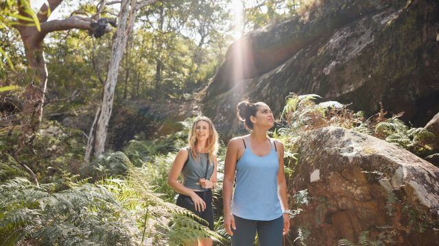 two people hiking in sunlit green bushland
