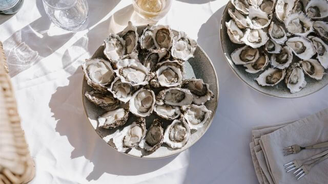 close up of creamy oysters on plate