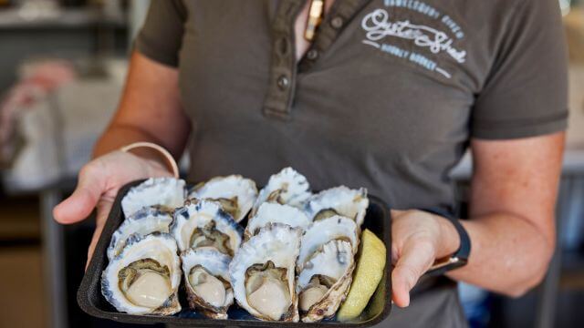 freshly shucked plate of oysters in servers hands