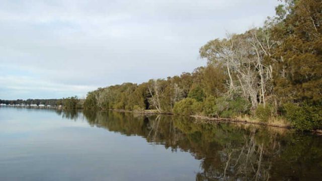 lake-macquarie-state conservation area credit susan davis