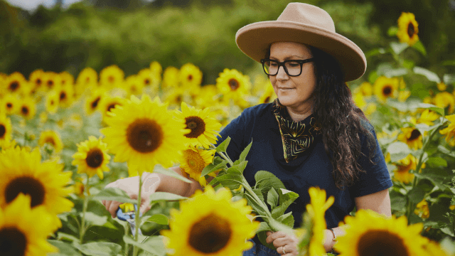 Sunflower picking at Bloom Barn by James Horan