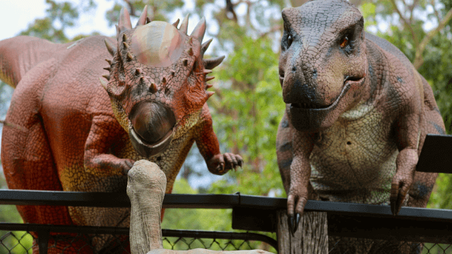 Dinosaurs at the Australian Reptile Park in June 2024