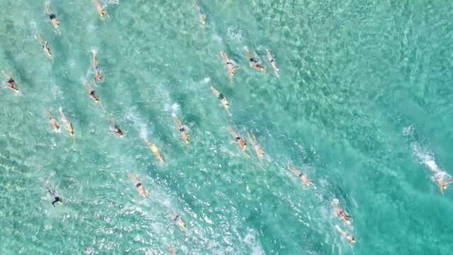 Terrigal Swim Fest