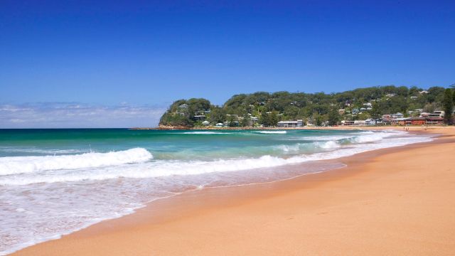 north avoca beach