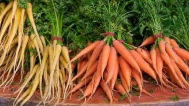 carrots