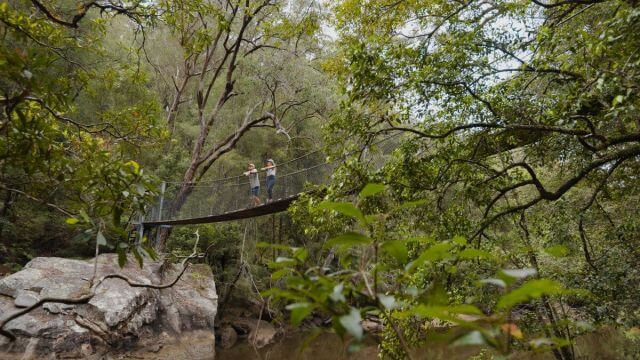 couple on swing bridge in bushland