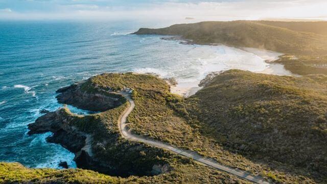aerial of scenic coastline with firetrail to headland