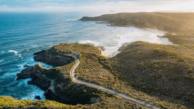 aerial of scenic coastline with firetrail to headland