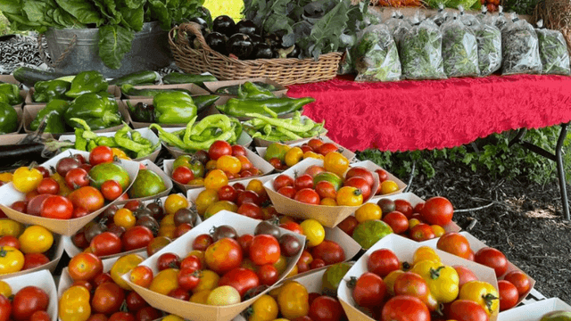 Farm Shed selling veggies