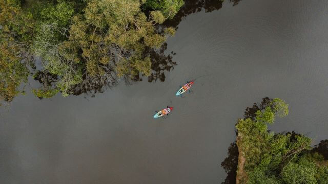 aerial of kayakers