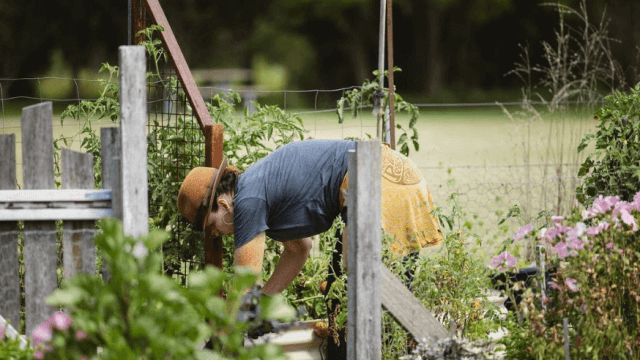 person gardening