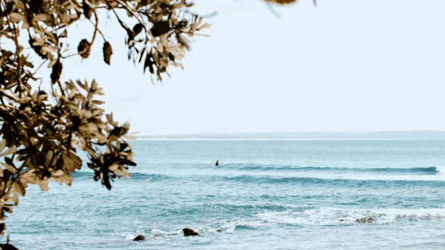 surfing reserve from the coastline