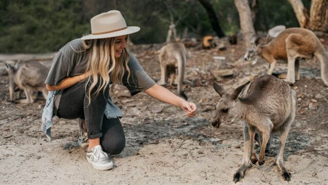 walkabout wildlife park