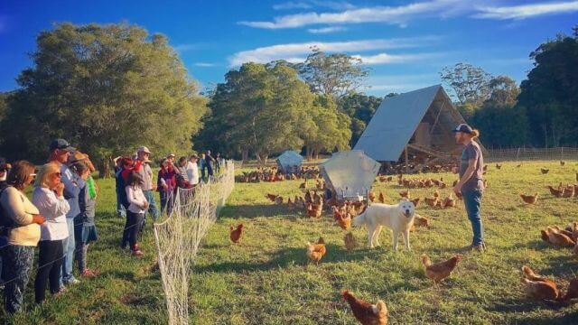 A farm tour at Full Circle Farm in Dooralong 