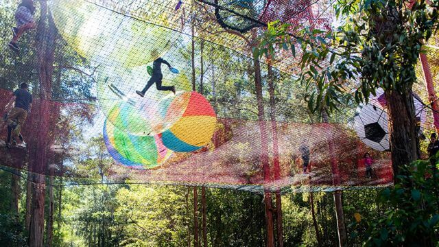 TreeTops, Ourimbah State Forest