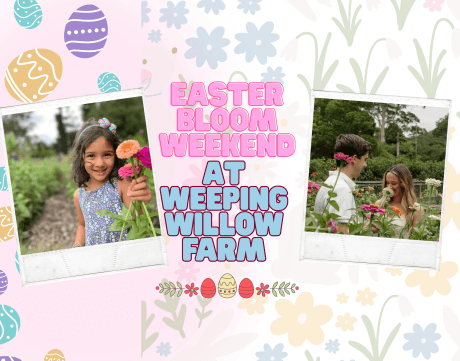 Easter Egg Hunt, Easter at the farm, Easter among blooms, Easter workshops, Central Coast Easter activity