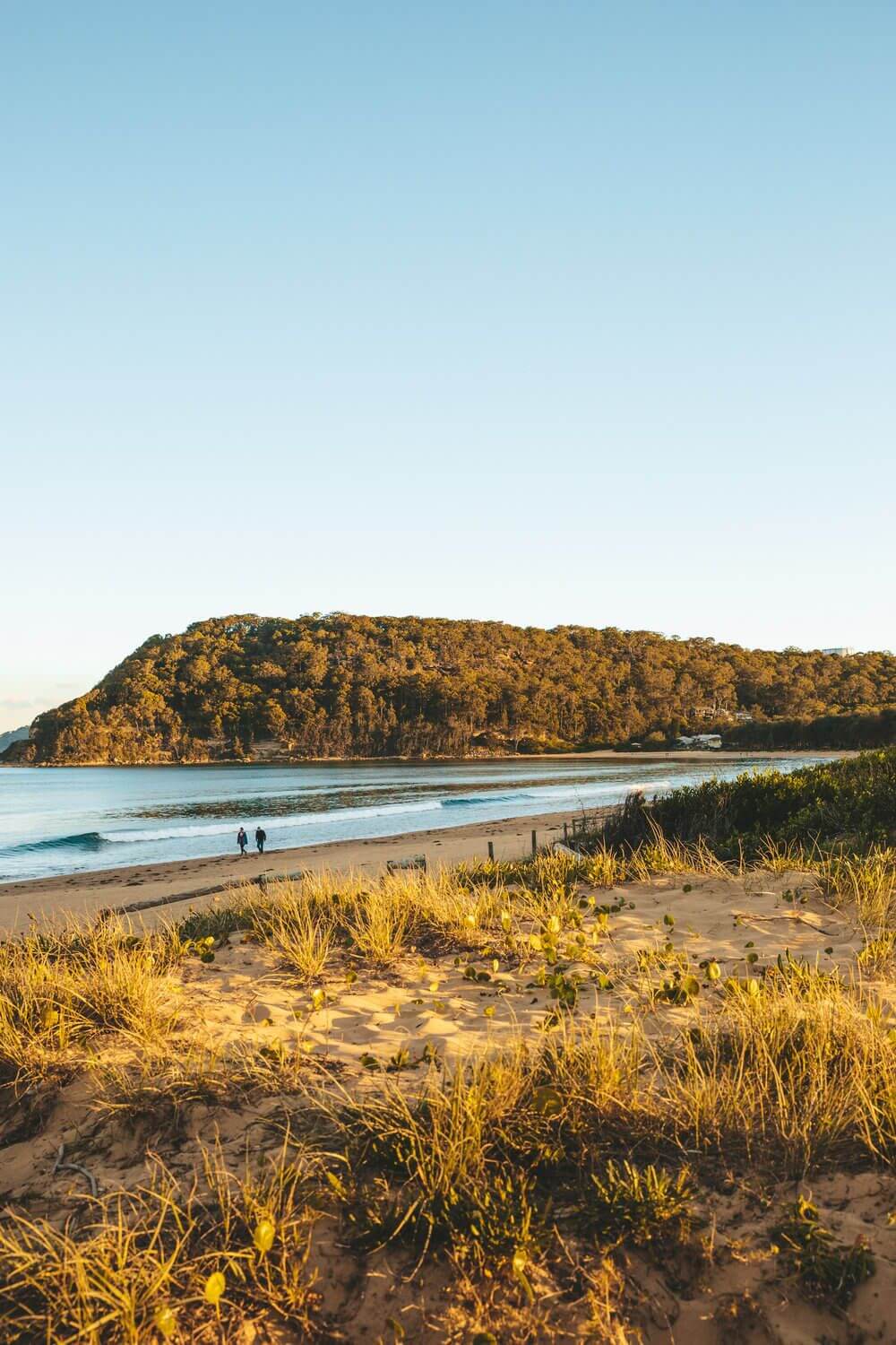 umina beach looking wintery