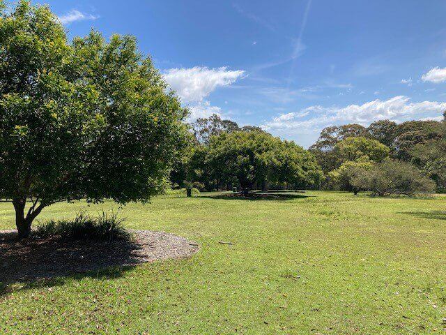 kincumba mountain picnic in the bush